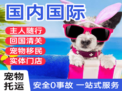 常德桃花源航空物流国际宠物托运 【国